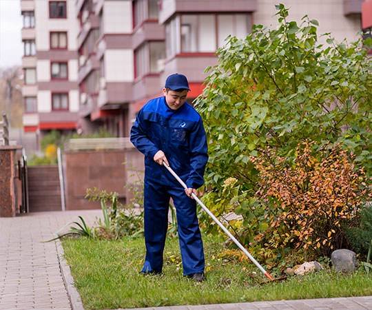 Уборка территории в Вологде и  Вологодской области